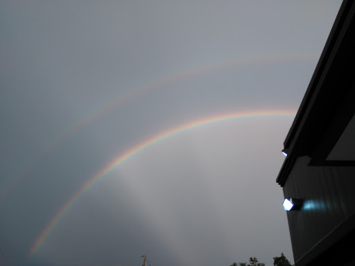 Discount Store «Dollar General», reviews and photos, 34464 Cortez Blvd, Dade City, FL 33523, USA