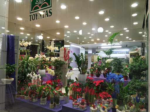 www.tountasflowers.gr ( Flower Center Toyntas)
