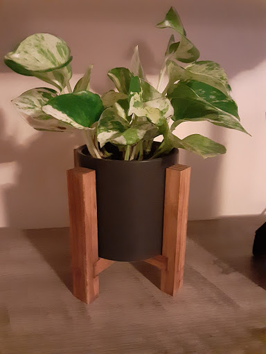 Craft Store «Michaels», reviews and photos, 6527 Strip Ave NW, North Canton, OH 44720, USA