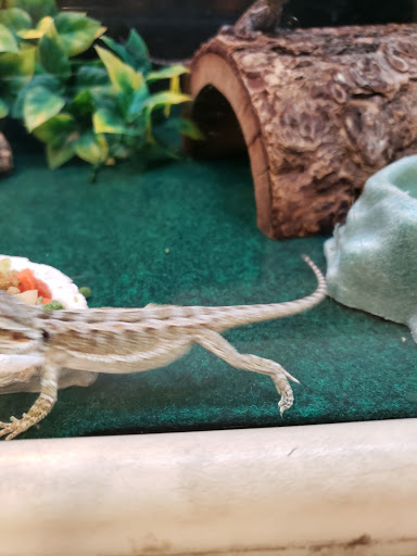 Pet Supply Store «PetSmart», reviews and photos, 4240 S Mooney Blvd, Visalia, CA 93277, USA