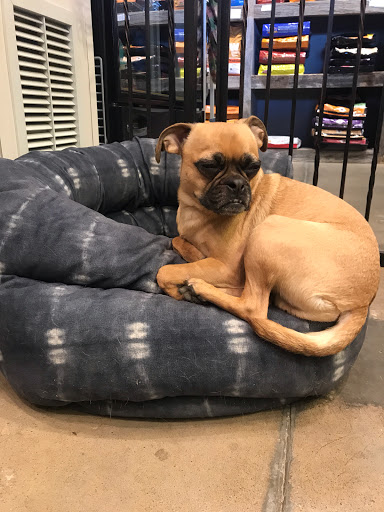 Pet Supply Store «Dog Dish», reviews and photos, 1778 Utica Square, Tulsa, OK 74114, USA