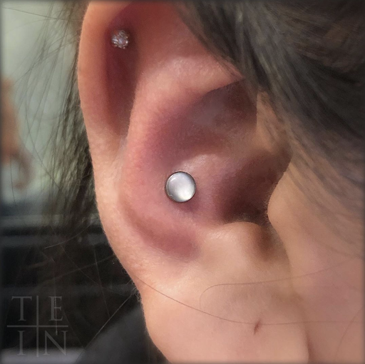 Explore quarter tattoo sleeve ideas, creative tattoo ideas in Brooklyn, available at The End Is Near Brooklyn - Professional Piercing & Fine Jewelry