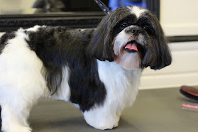 Dazzles Dog Grooming