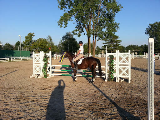 Équitations à poney près près de chez vous à Montreal