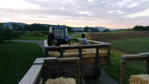 Orchard «Barton Orchards - Noxon Road Store Open Year Round - The Farm is CLOSED for the Season.», reviews and photos, 63 Apple Tree Ln, Poughquag, NY 12570, USA