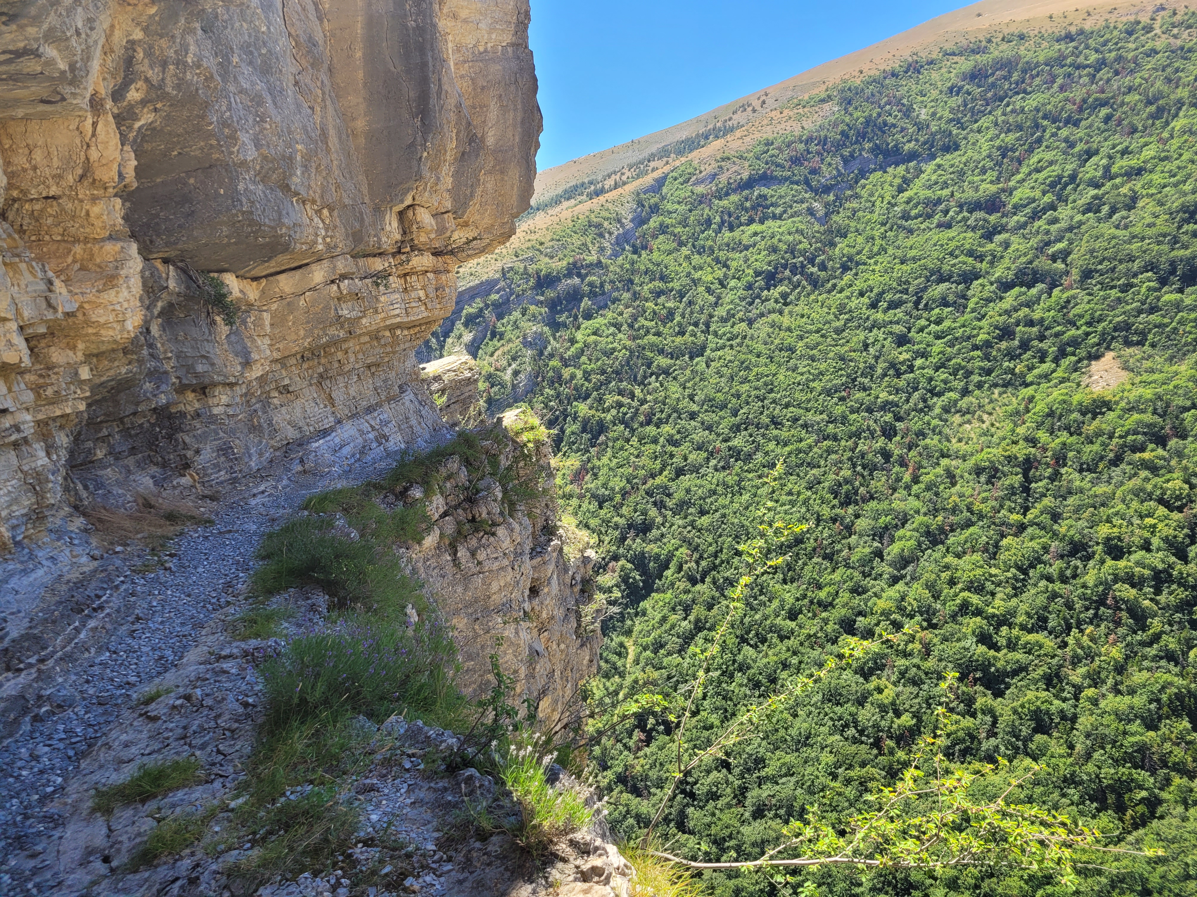 Photo n° 2 de l'avis de Ralph. fait le 31/07/2023 à 14:26