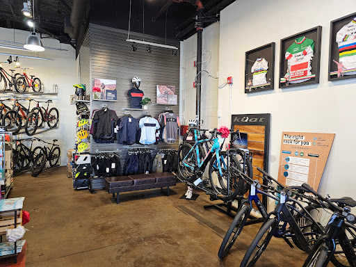 Trek Bicycle Woodland Hills image