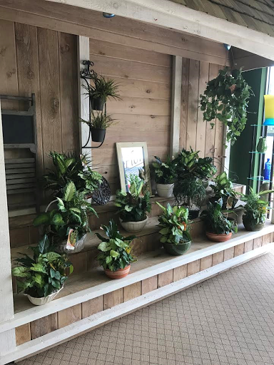 Florist «Driftwood Florist», reviews and photos, 711 W Indiantown Rd, Jupiter, FL 33458, USA
