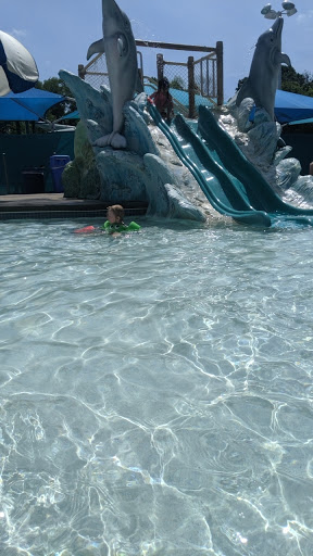 Park «Highland Park Aquatic Center», reviews and photos, 1840 Edgcumbe Rd, St Paul, MN 55116, USA