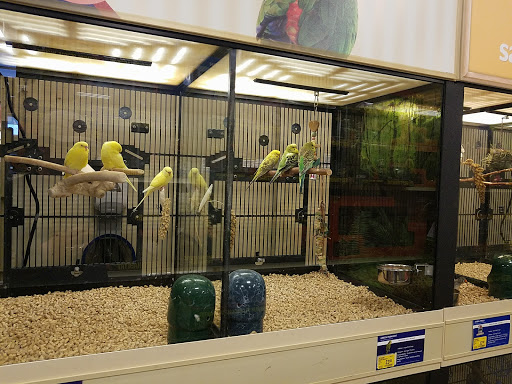 Pet Supply Store «PetSmart», reviews and photos, 4485 24th Ave, Fort Gratiot Twp, MI 48059, USA