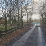 Photo n°5 de l'avis de Martijn. fait le 30/01/2023 à 23:42 sur le  Beim Schweinswirt im Koninghoek à Halle/Uelsen