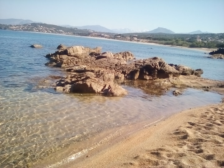 Agosta beach II photo #2