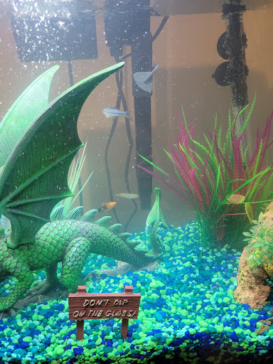 Pet Supply Store «PetSmart», reviews and photos, 19 Clifton Country Rd, Clifton Park, NY 12065, USA