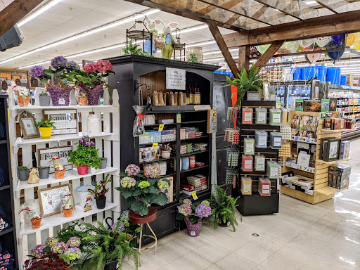 Grocery Store «Reams Grocery Springville», reviews and photos, 759 E 400 S, Springville, UT 84663, USA