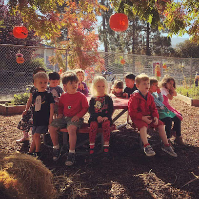 Little Oak Preschool