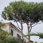 Photo n°11 de l'avis de Vasily.r fait le 02/09/2020 à 14:16 sur le  Il Miraggio à Fregenae