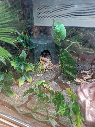 Pet Supply Store «PetSmart», reviews and photos, 777 S Willow St, Manchester, NH 03103, USA