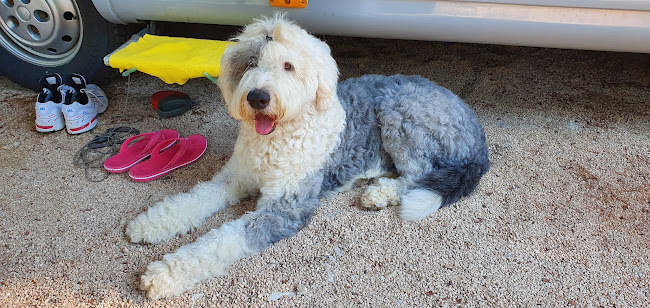 Veterinarska praksa SNOOPY za male životinje - Veterinar