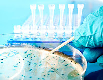 Institute of Health & Wellness - Photo 7 - Car repair in Stuart, FL, Port St. Lucie