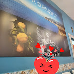 Photo n°2 de l'avis de RITA.E fait le 11/05/2024 à 09:08 sur le  Torna a Surriento Trattoria à Sorrento