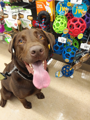 Pet Supply Store «Petco Animal Supplies», reviews and photos, 205 Palm Bay Rd NE #155, West Melbourne, FL 32904, USA