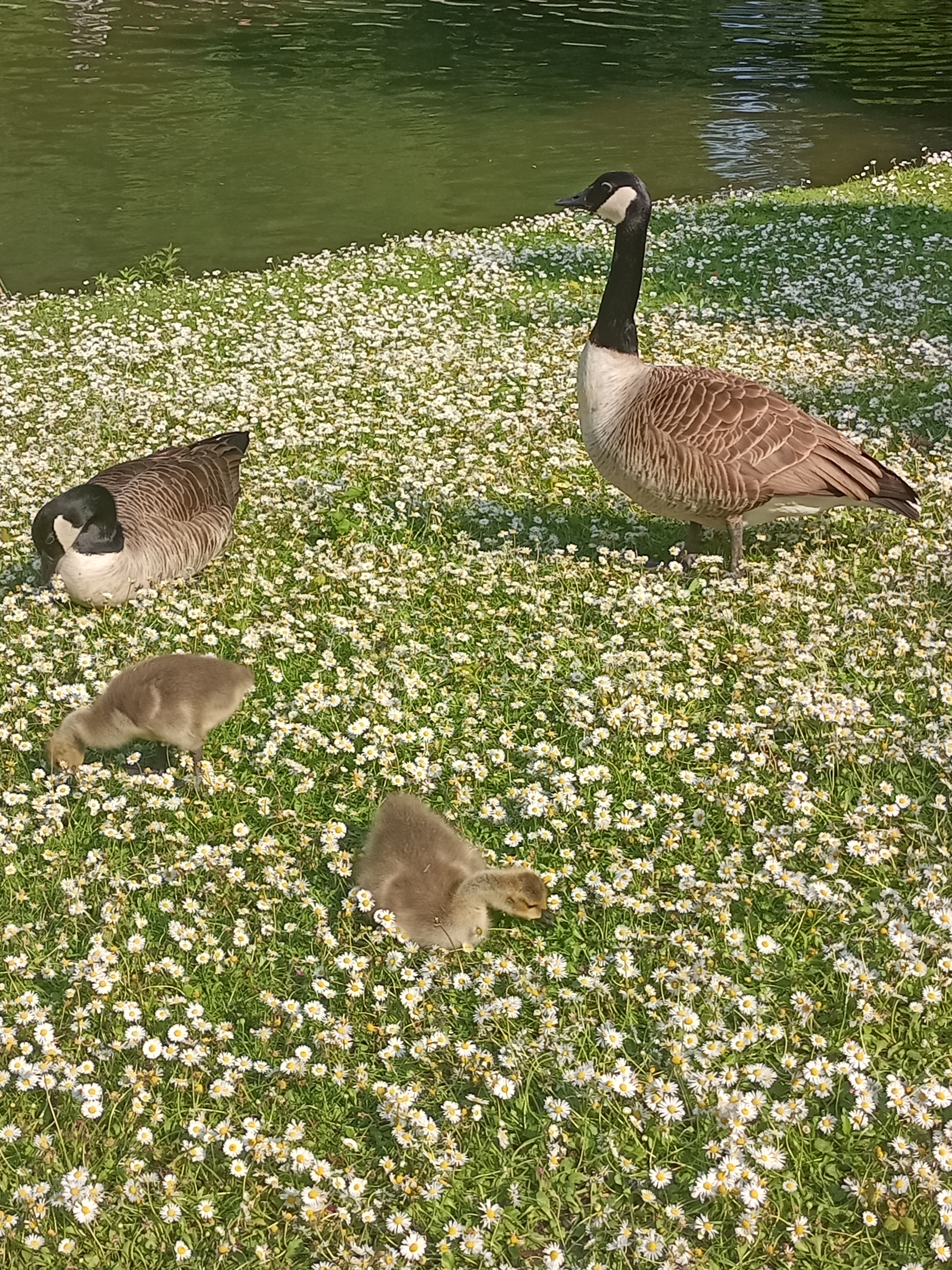 Photo n° 4 de l'avis de LUCIE.P fait le 16/05/2023 à 18:58