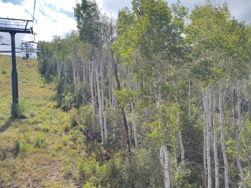 Amusement Park Ride «Park City Alpine Slide», reviews and photos, 1345 Lowell Ave, Park City, UT 84060, USA