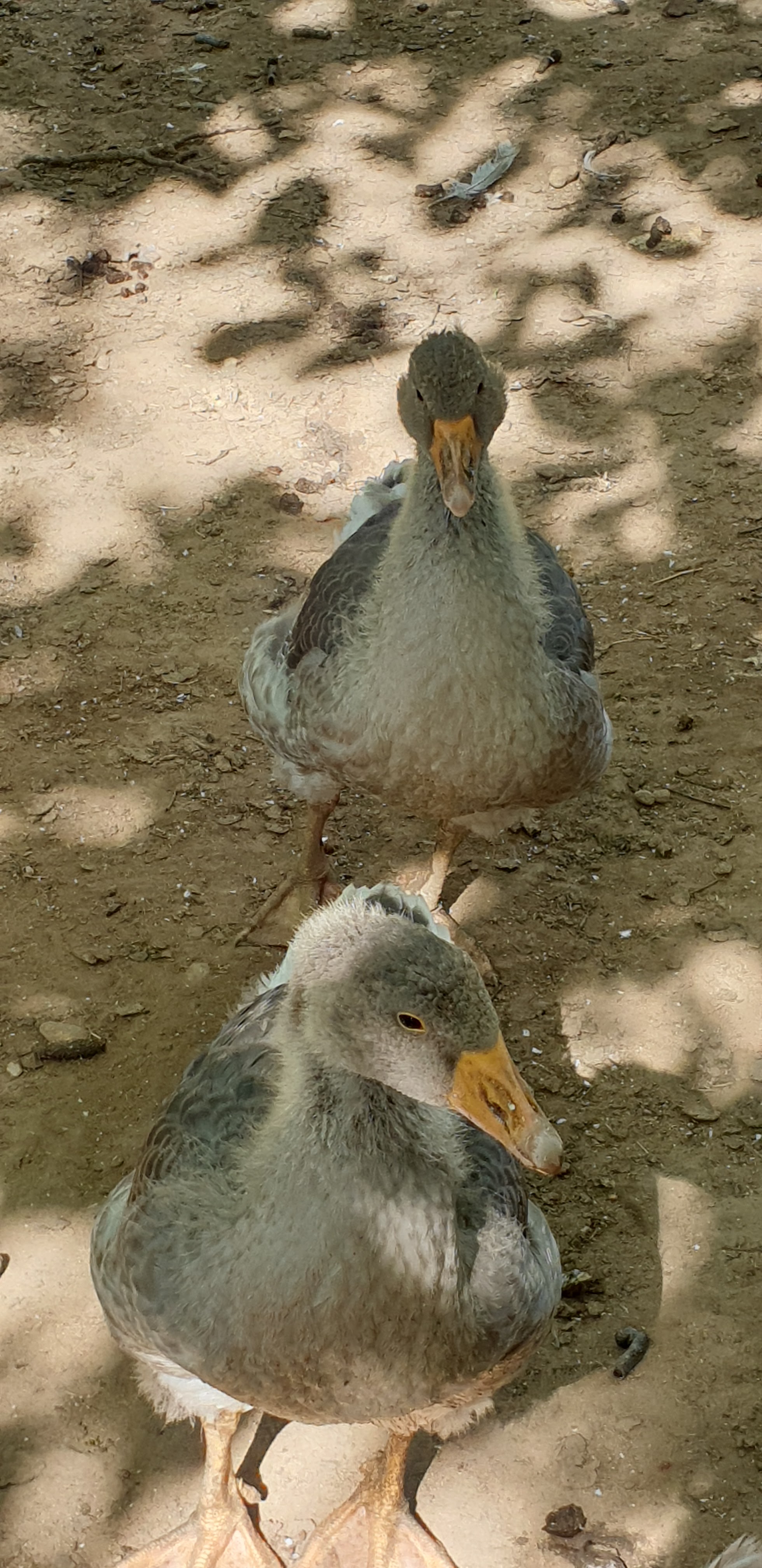 Photo n° 2 de l'avis de Damien.a fait le 23/08/2019 à 09:47