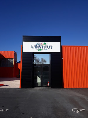 l'institut (albi) à Albi