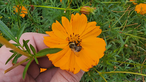 Grocery Store «Sunspot Natural Market», reviews and photos, 3717 S Reed Rd, Kokomo, IN 46902, USA