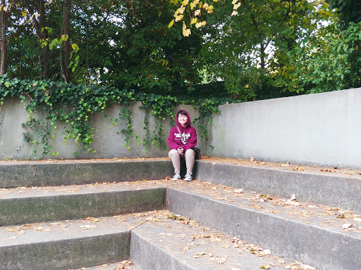 Tourist Attraction «Fish Ladder Park Grand Rapids», reviews and photos, 560 Front Ave NW, Grand Rapids, MI 49504, USA