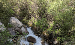 Little Cottonwood Creek