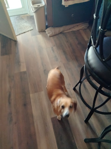 Pet Supply Store «Pet Supplies Plus», reviews and photos, 254 S Illinois Ave, Oak Ridge, TN 37830, USA