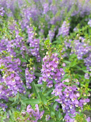 Home Improvement Store «The Home Depot», reviews and photos, 10233 Lakeridge Pkwy, Ashland, VA 23005, USA