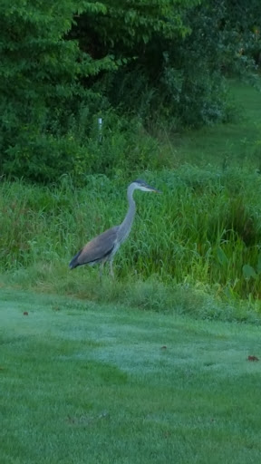 Golf Club «Fairway Valley Golf Club», reviews and photos, 76 Mine Hill Rd, Washington, NJ 07882, USA