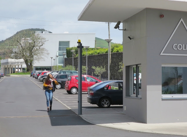 Avaliações doColégio do Castanheiro em Ponta Delgada - Escola