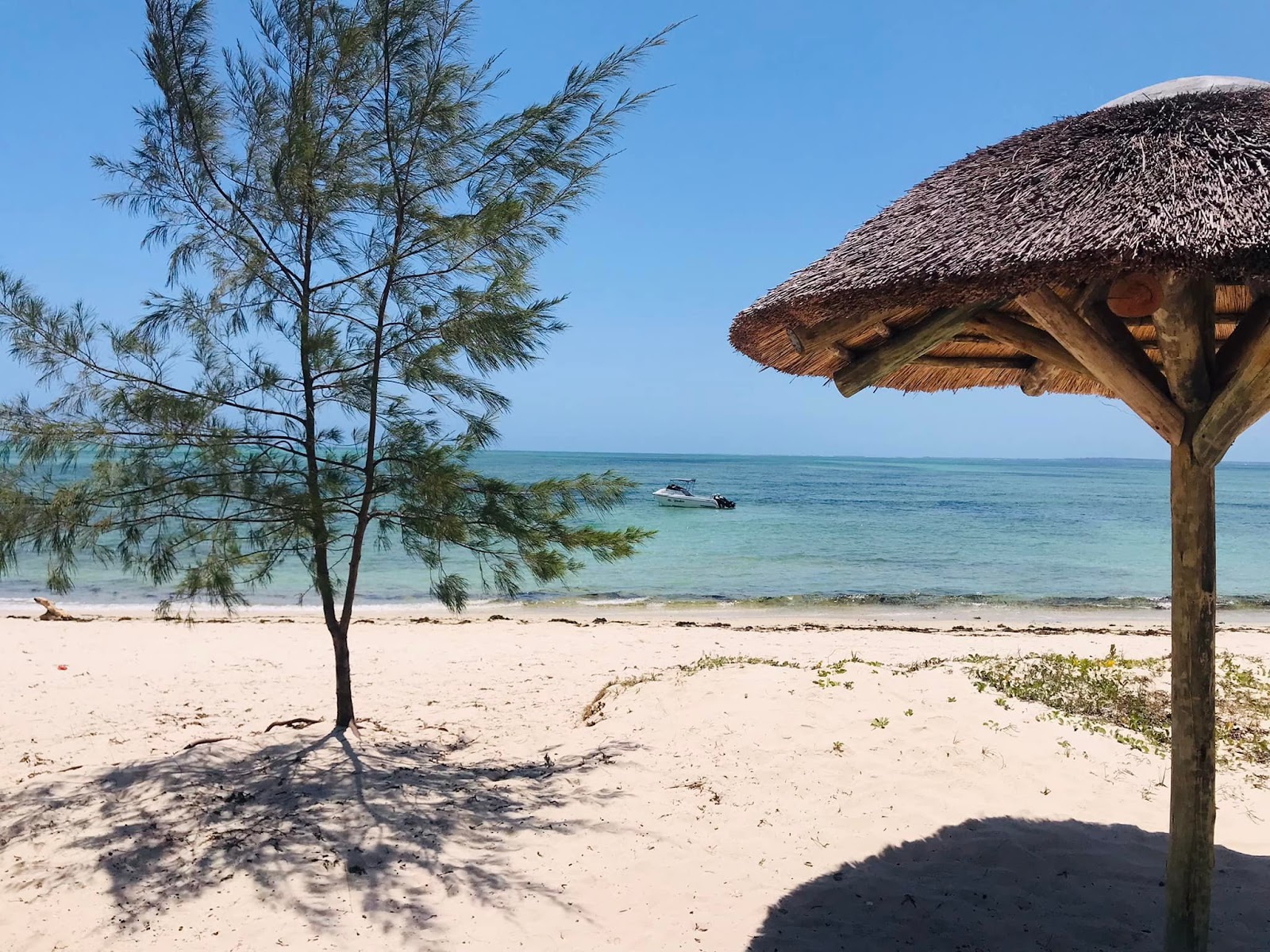 Zdjęcie Matibane Resort Beach z powierzchnią biały piasek