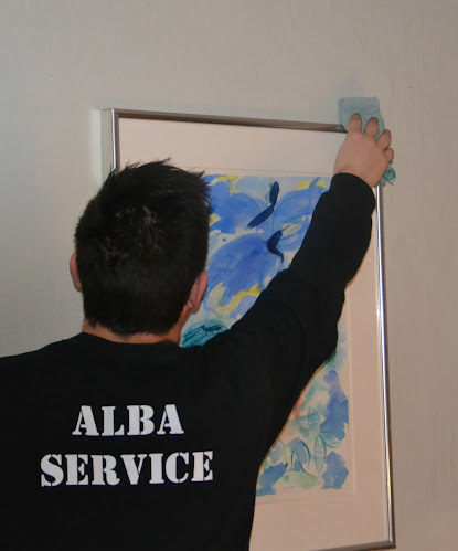 Alba Service - Kolding
