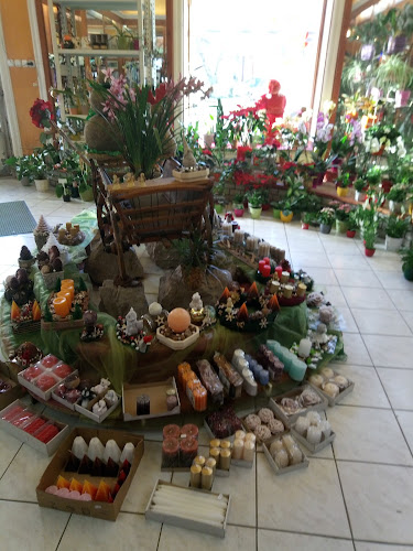 Opinii despre Rózsa Virágszalon és Ajándék în Szentgotthárd - Virágárus