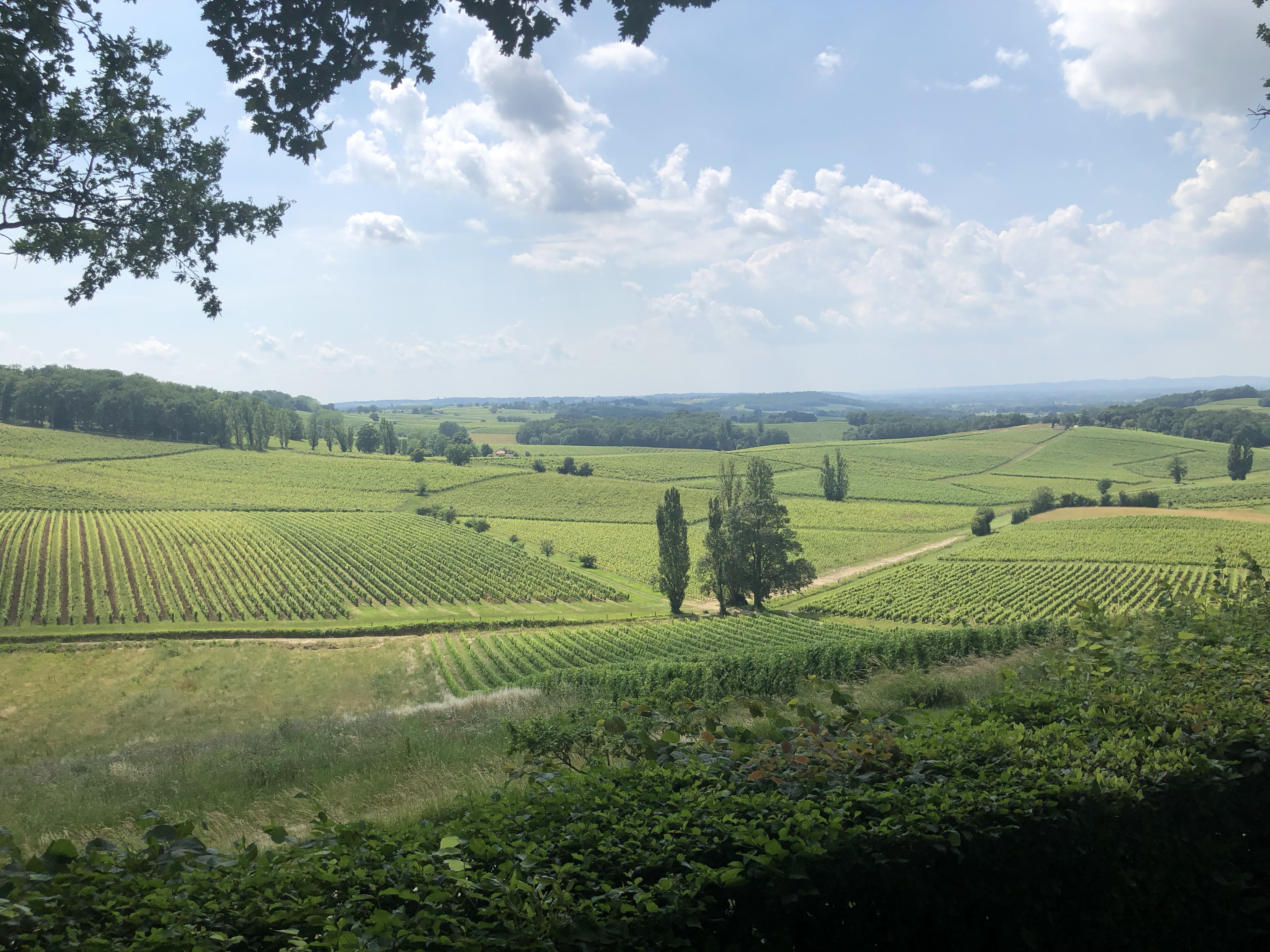 Photo n° 1 de l'avis de Jonty.a fait le 22/06/2018 à 20:36