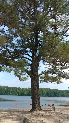 Tourist Attraction «South Shore Park», reviews and photos, 4555 Ragsdale Rd, Acworth, GA 30101, USA