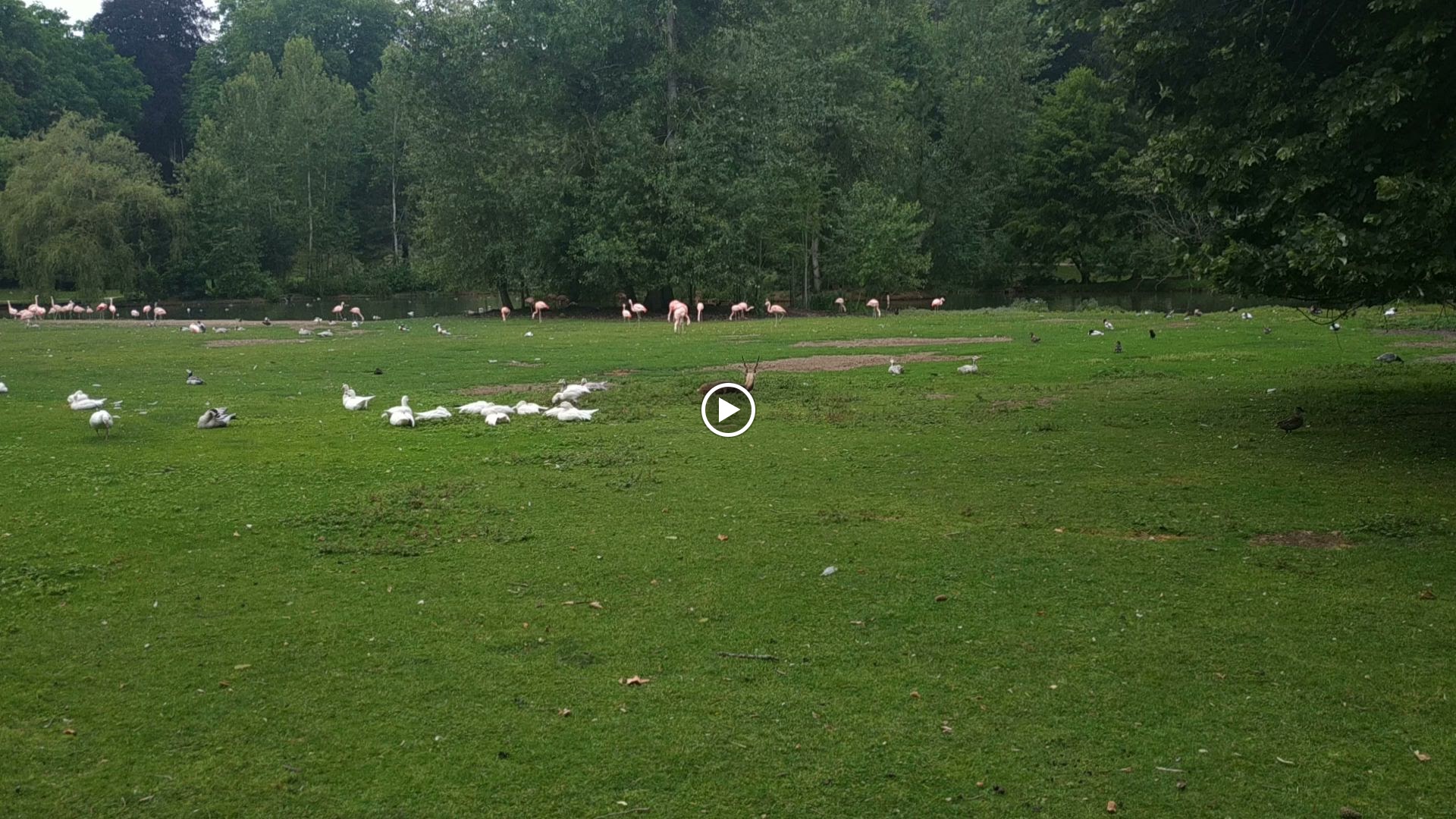 Photo n° 14 de l'avis de marie.l fait le 13/06/2023 à 20:22