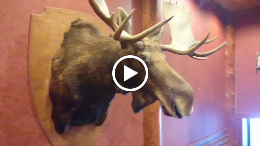 Resort «Six Flags Great Escape Lodge & Indoor Water park», reviews and photos, 89 Six Flags Drive, Queensbury, NY 12804, USA