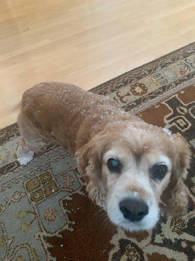 Insurance Agency «Chris Lerchen - State Farm Insurance Agent», reviews and photos