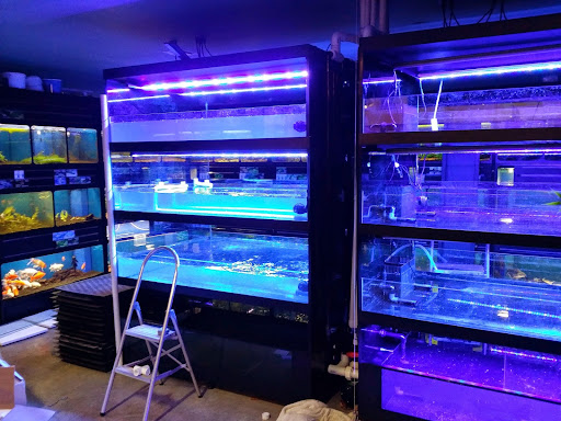 Pet Store «Critter Cabana - Wilsonville», reviews and photos, 8406 SW Main St #200, Wilsonville, OR 97070, USA