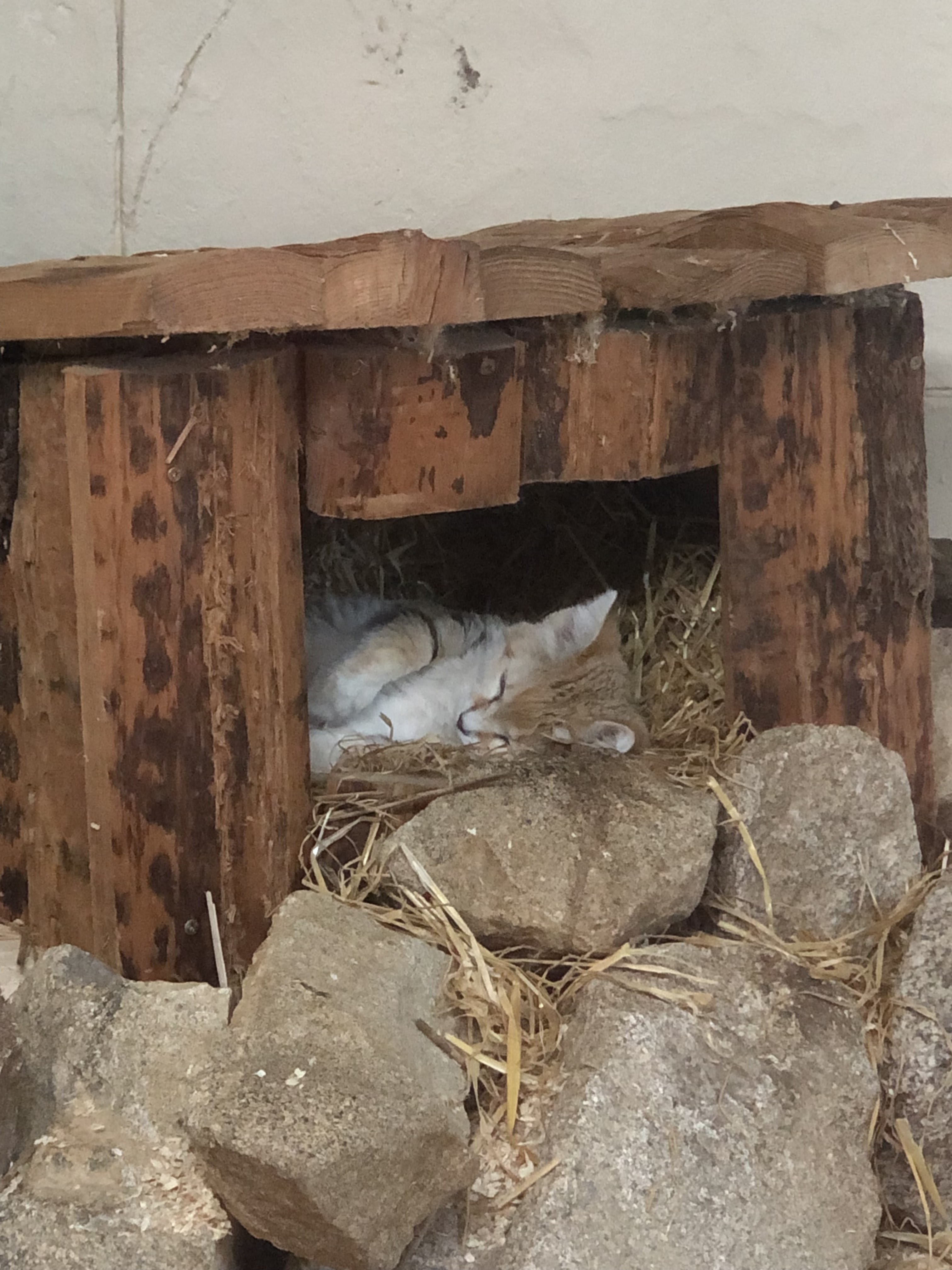 Photo n° 2 de l'avis de Annaig.o fait le 26/07/2023 à 13:16