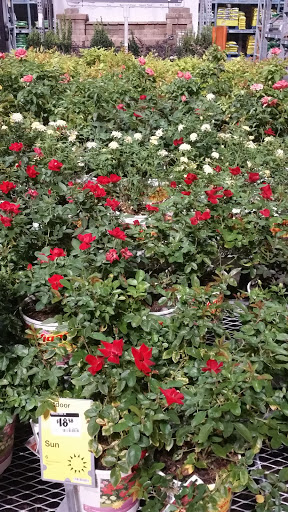 Home Improvement Store «The Home Depot», reviews and photos, 8101 Moores Ln, Brentwood, TN 37027, USA