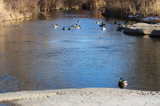 Park «Cherry Creek Valley Ecological Park», reviews and photos, 7500 S Jasper Ct, Centennial, CO 80112, USA