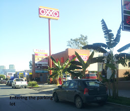 Functional Oncology Center photo