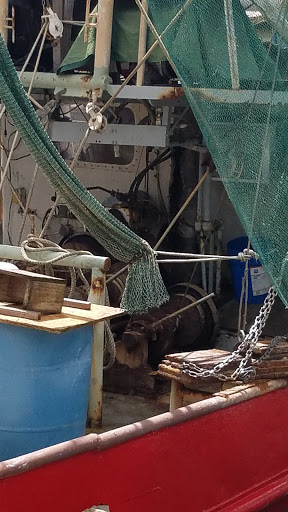 Cruise Agency «Biloxi Shrimping Trip», reviews and photos, 693 Beach Blvd, Biloxi, MS 39530, USA